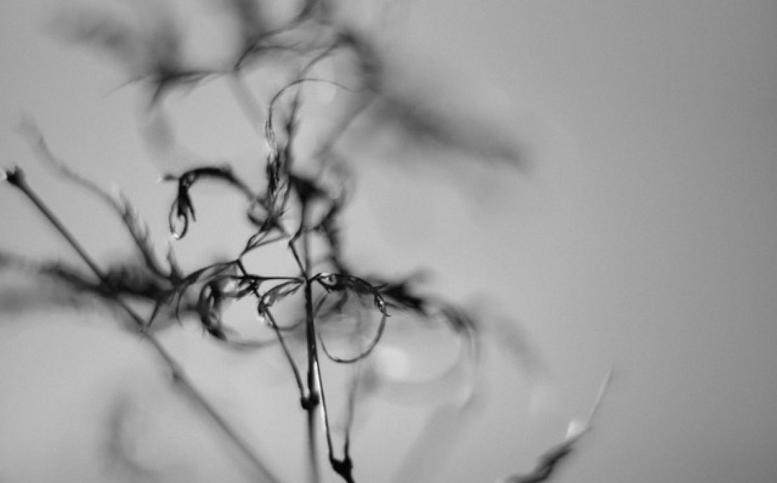 Hollywood Portrait(Bleistift)-Zeichnungen berühmter Hollywood-Größen von Alexander Strilka