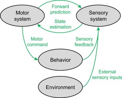 Wissenschaftliche Abbildung