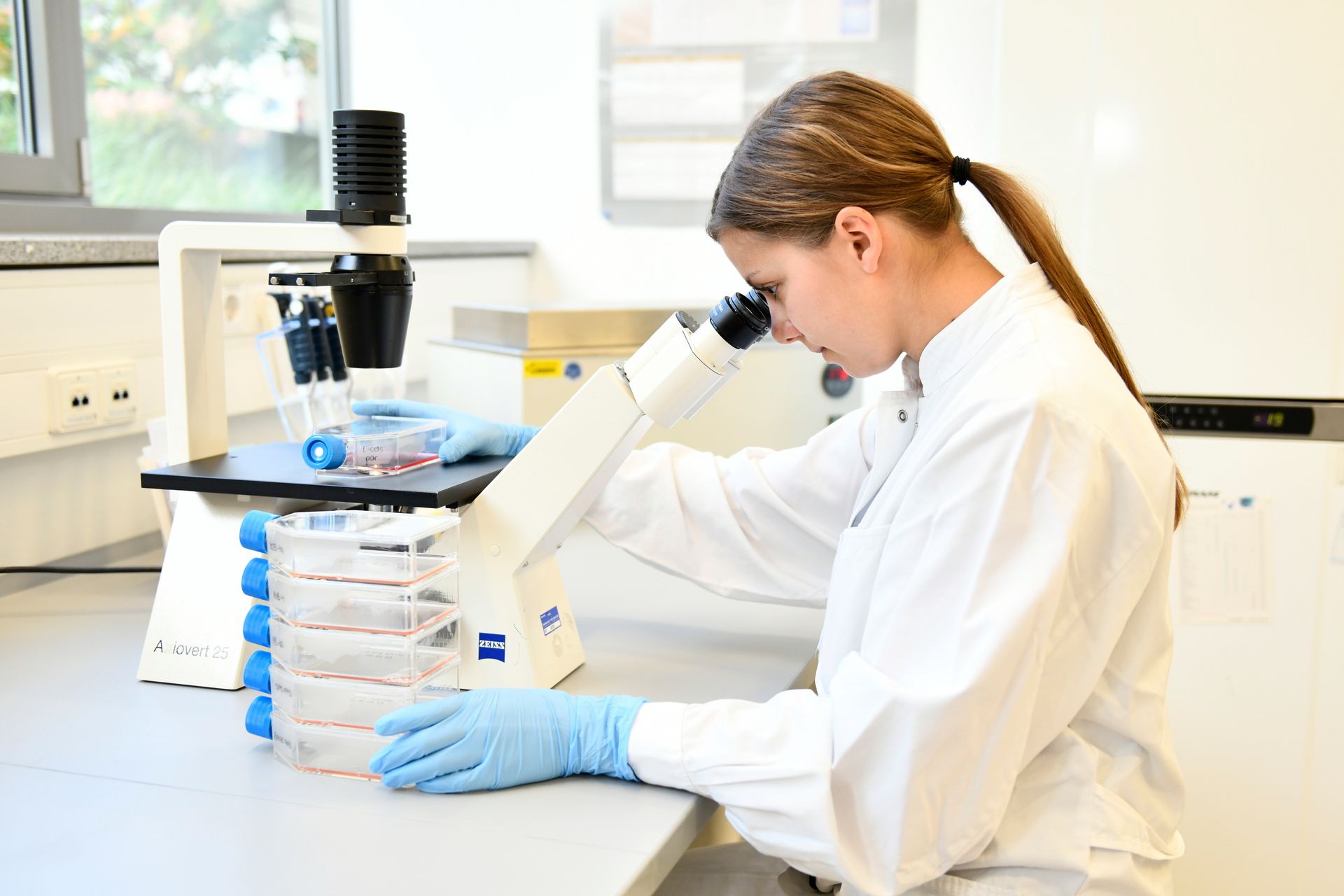 Laborantin am Mikroskop