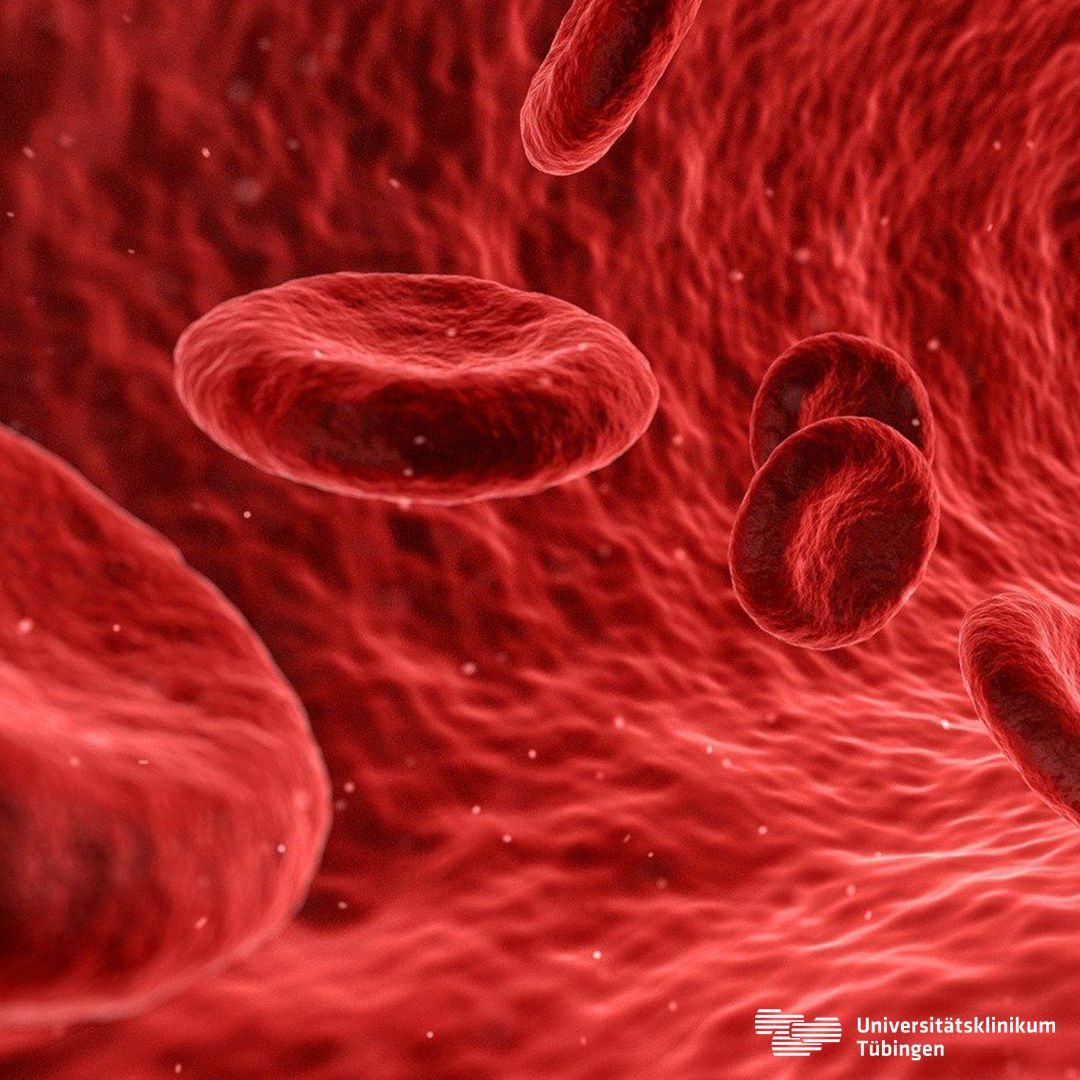 Immuntherapie Leukämie