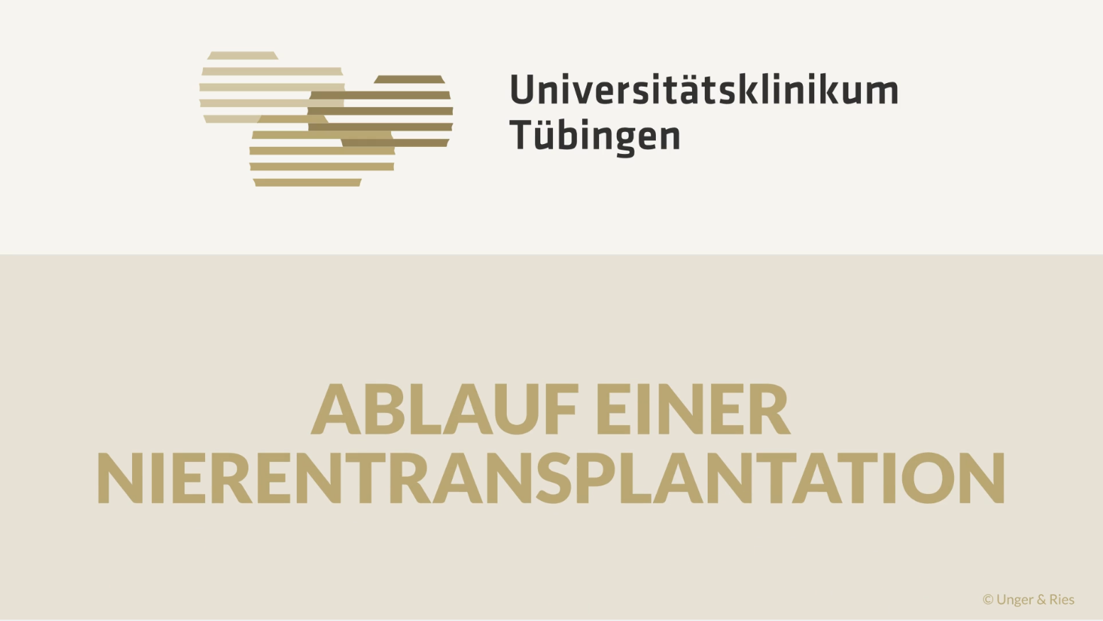 Thumbnail Ablauf einer Nierentransplantation