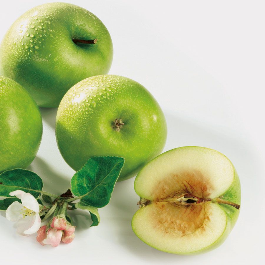 ZGO_DarmkrebsVorsorge_90x90