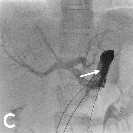 Wissenschaftliche Abbildung CPSS