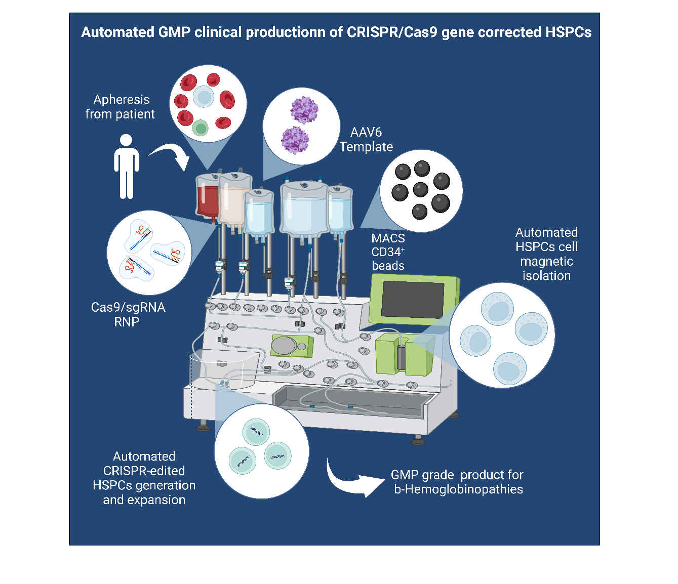 Wissenschaftliche Abbildung zum Text