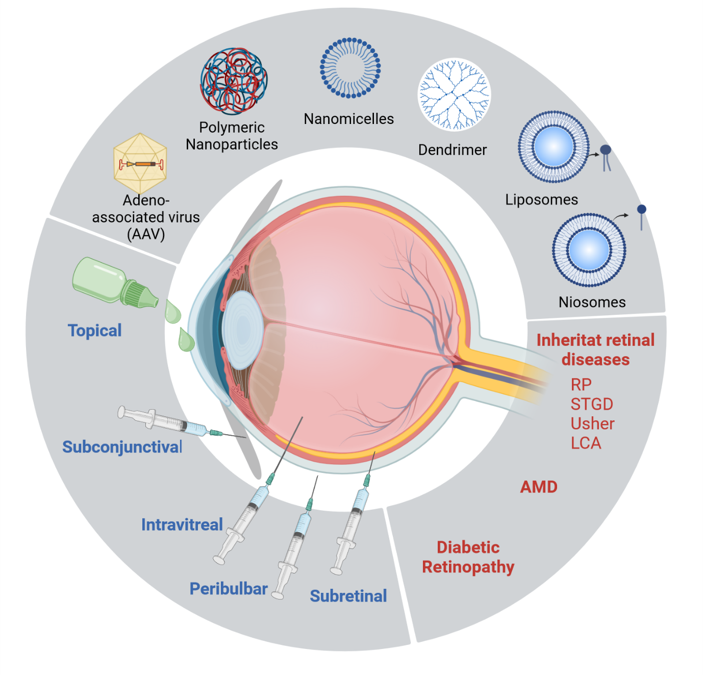 Wissenschaftliche Abbildung