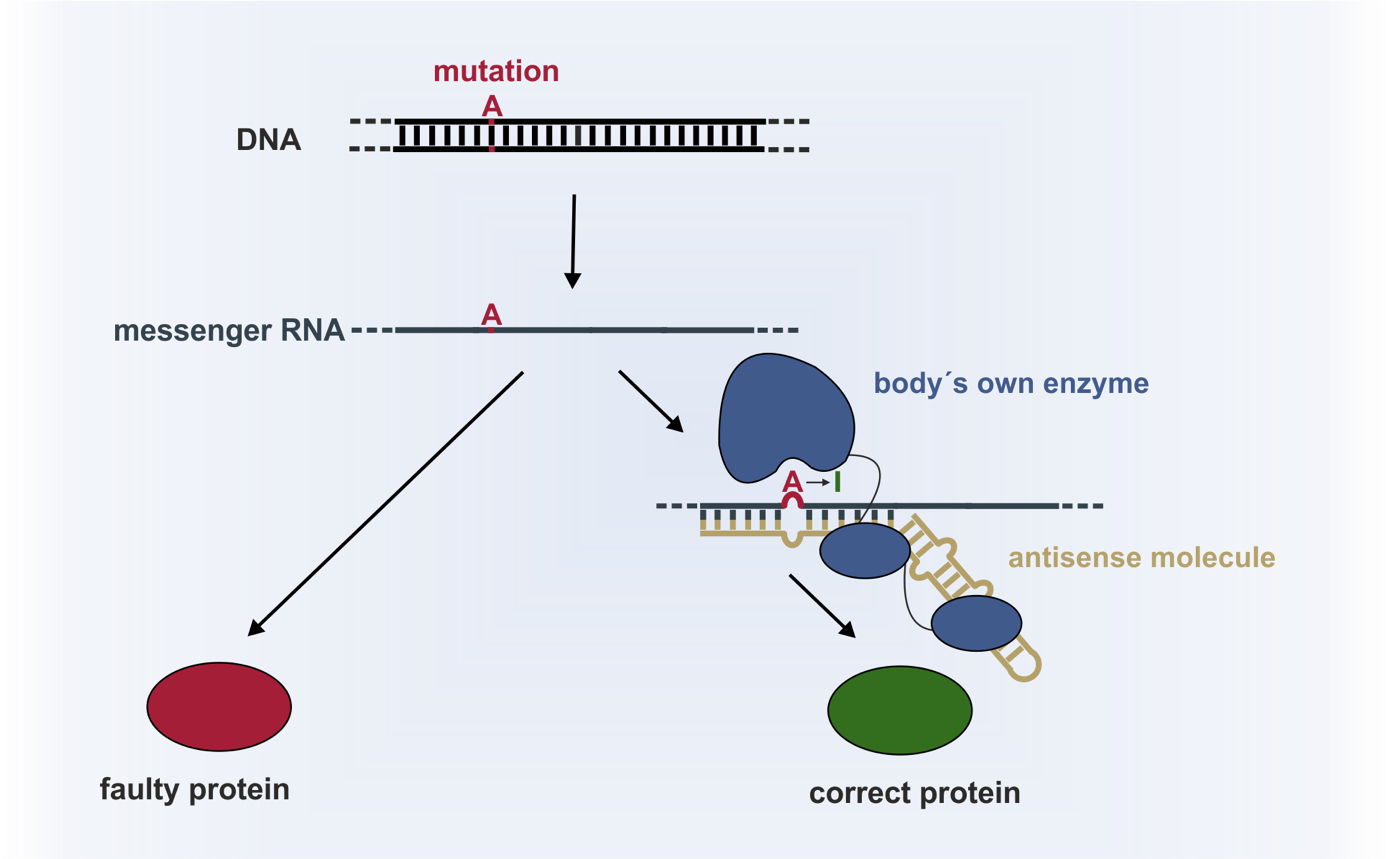 Wissenschaftliche Abbildung