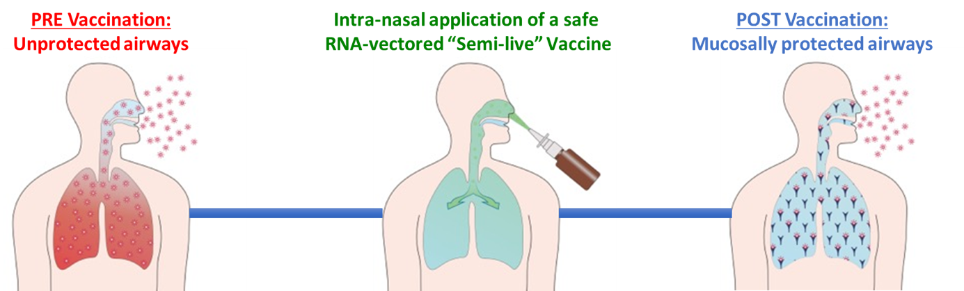 Wissenschaftliche Abbildung