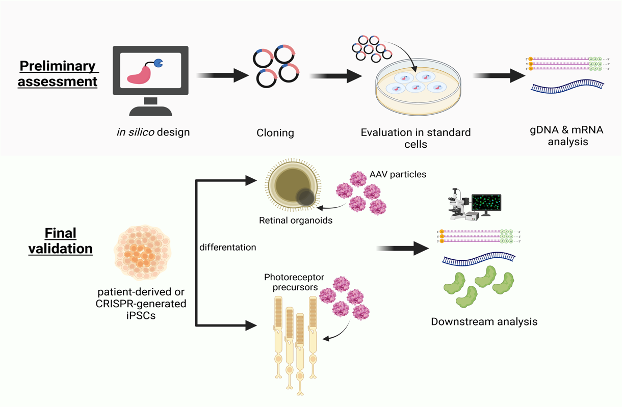 Wissenschaftliche Abbildung