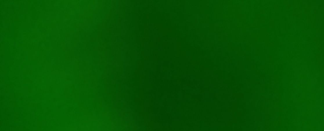 Layoutbild grünes Muster