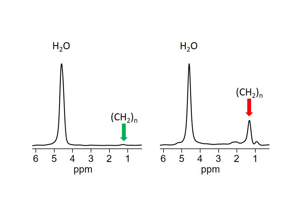 Wissenschaftliche Abbildung