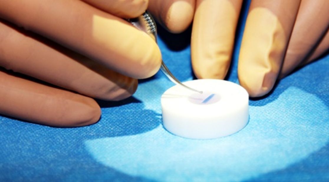 Work with tweezers in the laboratory