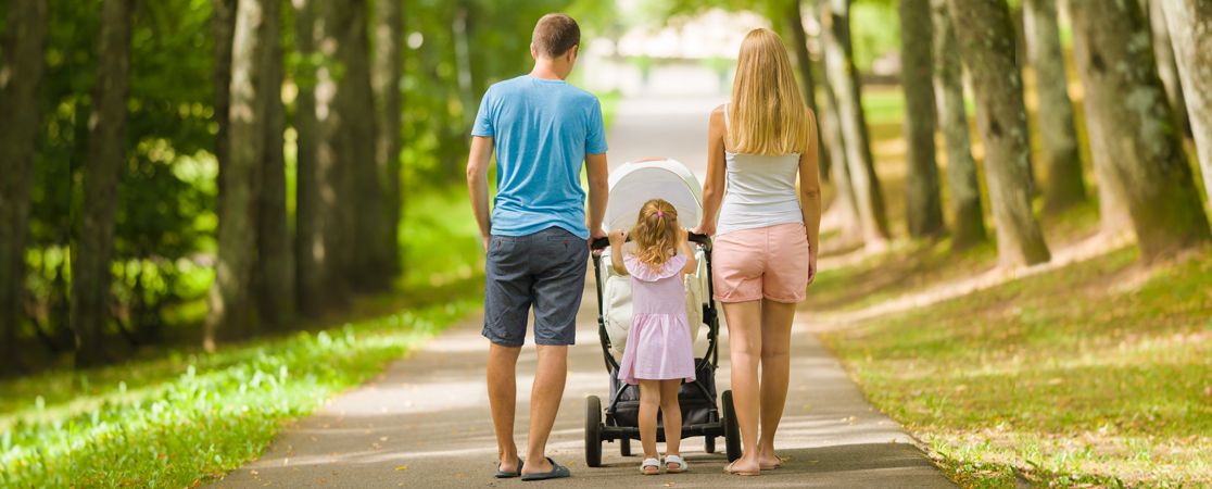 Obstschale mit Ananas, Zitrone, Orangen Äpfeln und Birnen