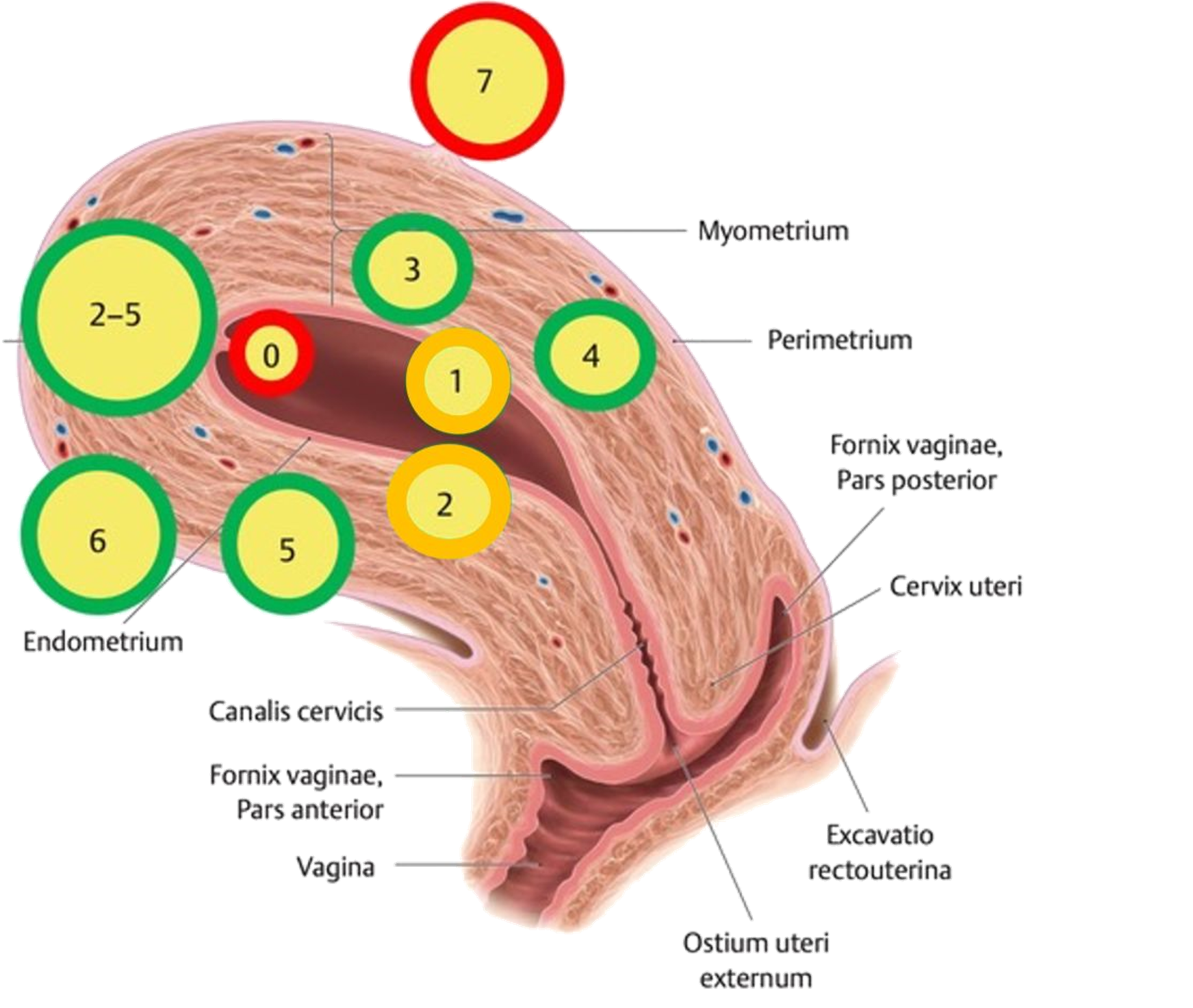 Wissenschaftliche Abbildung