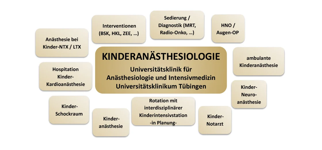 Die Einsatzmöglichkeiten im Organigramm