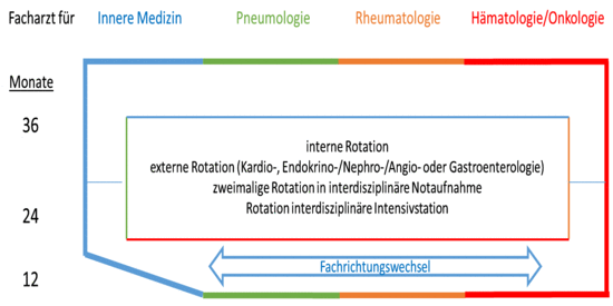 Grafik zur Weiterbildung, Inhalt wie im Text beschrieben