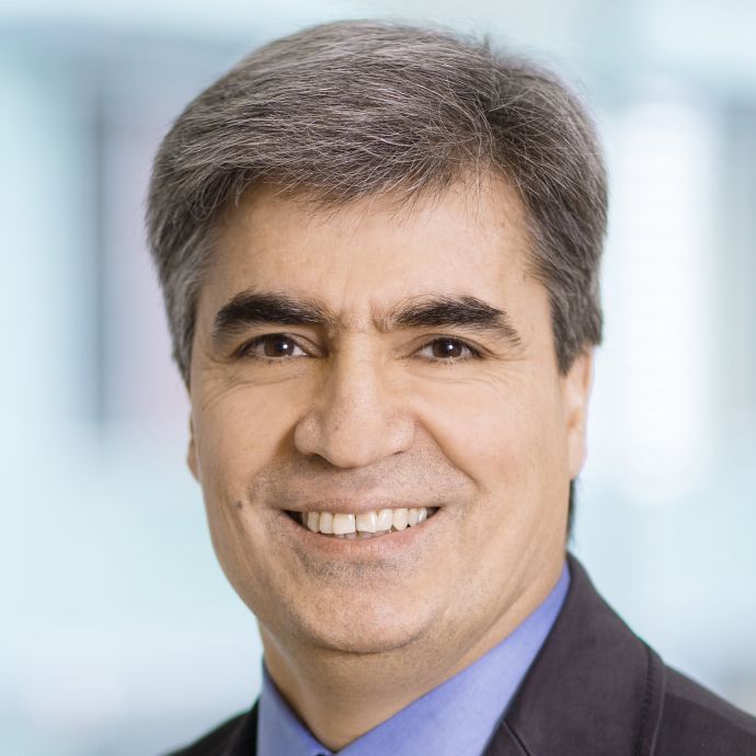 Prof. Dr. Mahmoud Toulany
