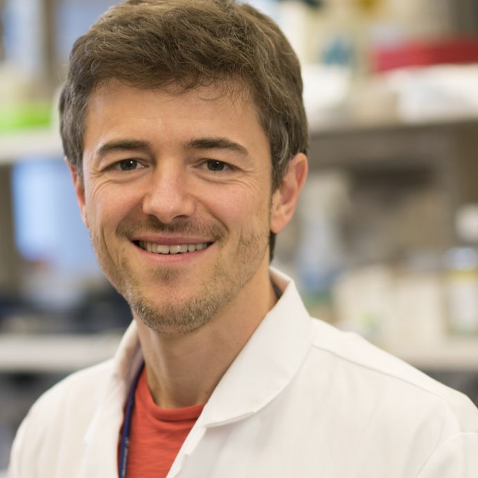 Jun. Prof. Dr. med. Josef Leibold