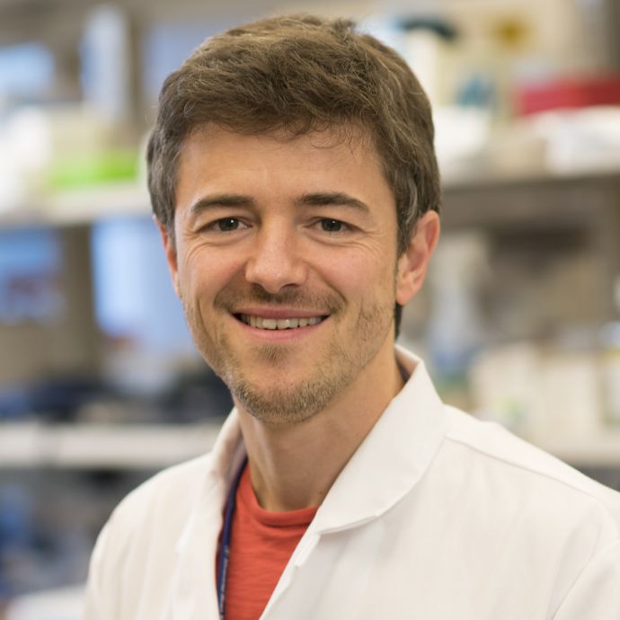 Jun. Prof. Dr. med. Josef Leibold