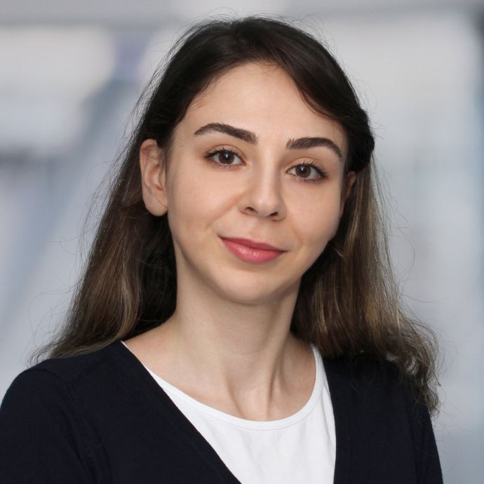 Nastaran Jafari