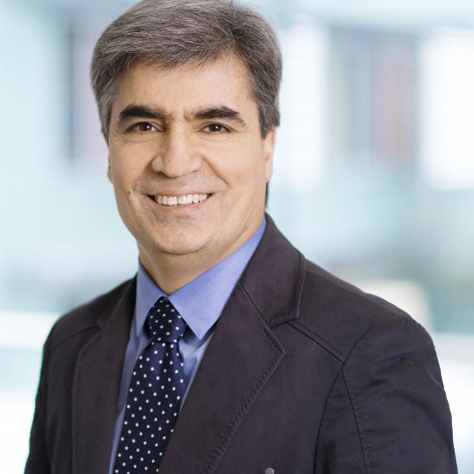 Prof. Dr. Mahmoud Toulany