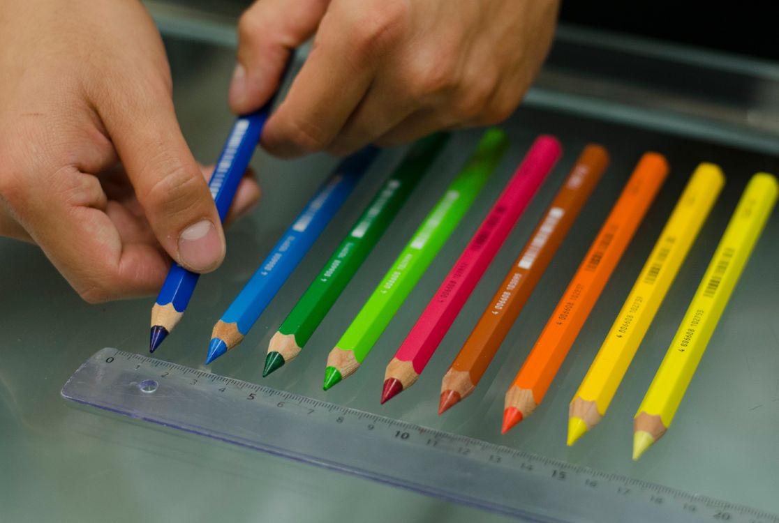 Palette of coloured pencils in front of a ruler