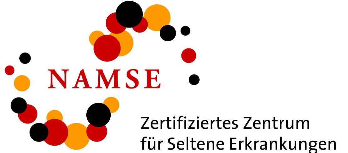 NAMSE Logo