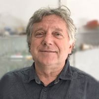 Portraitfoto