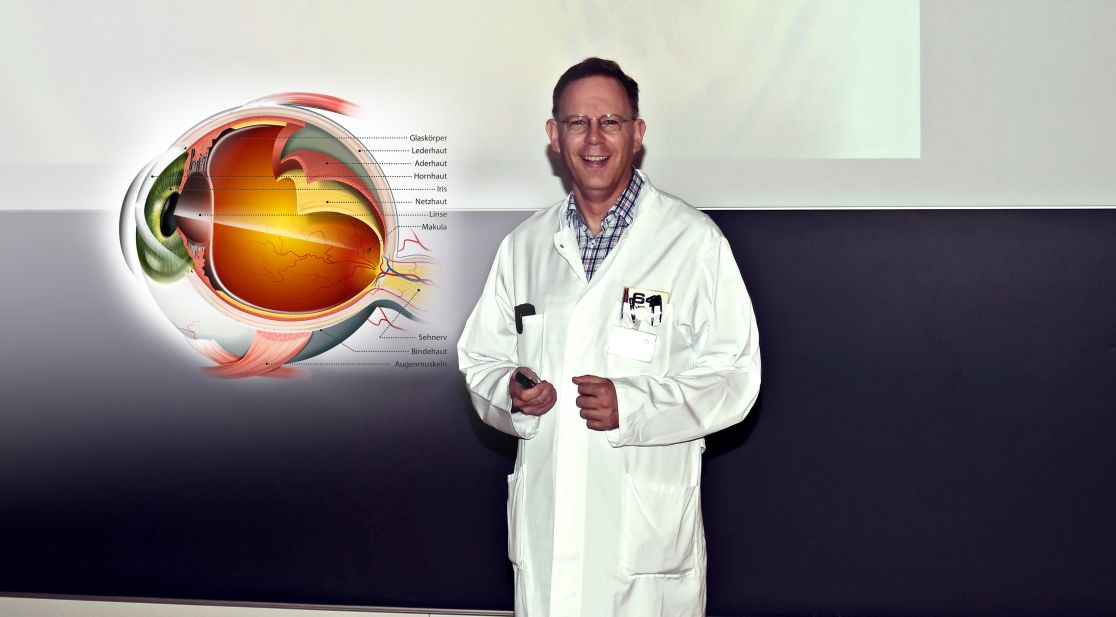 Professor