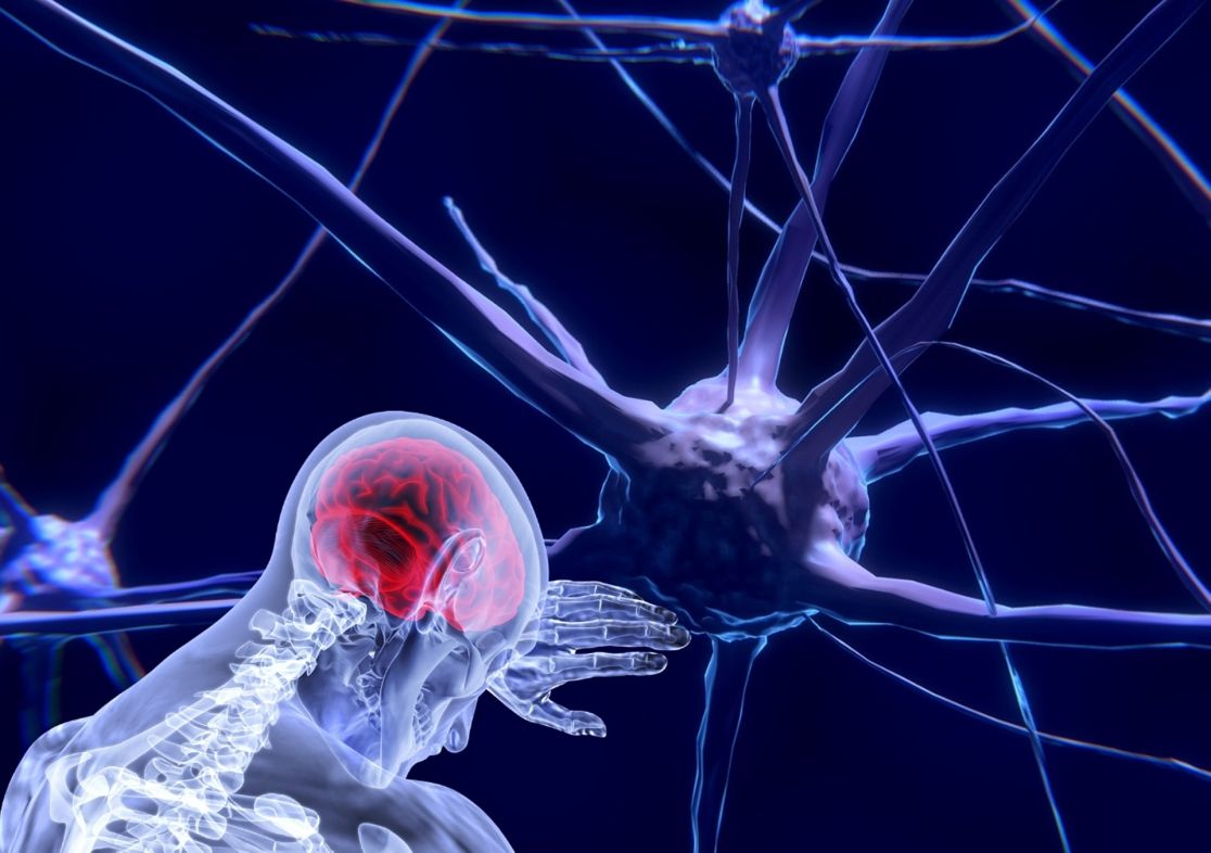 Neuronen