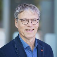 Porträt Prof. Dr. med. Stephan Zipfel