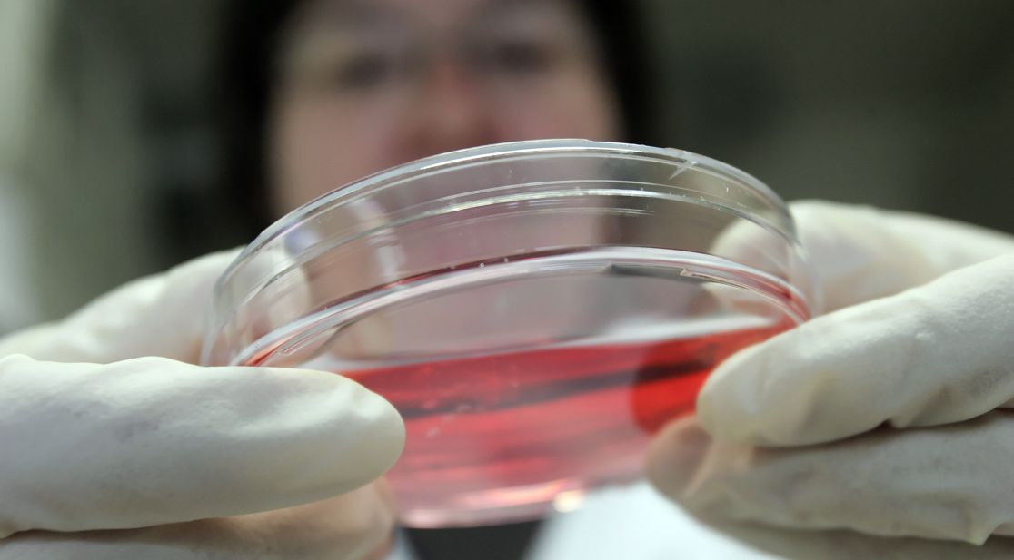 Pipette im Labor
