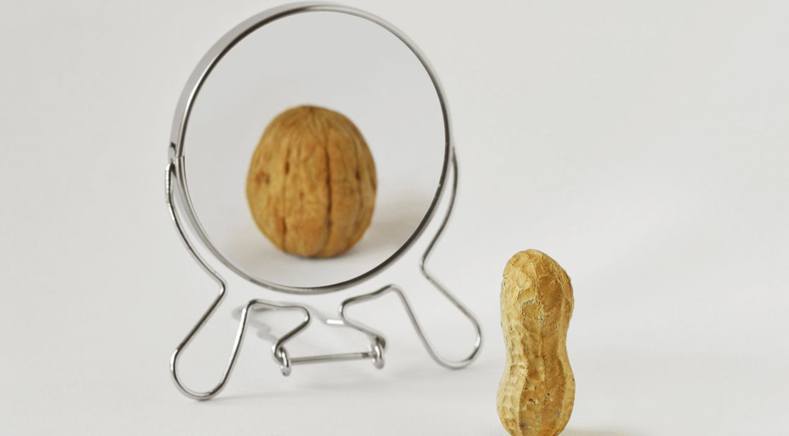 Peanut in mirror