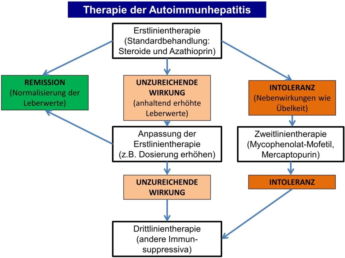 Flussdiagramm zur Therapie der Autoimmunhepatitis