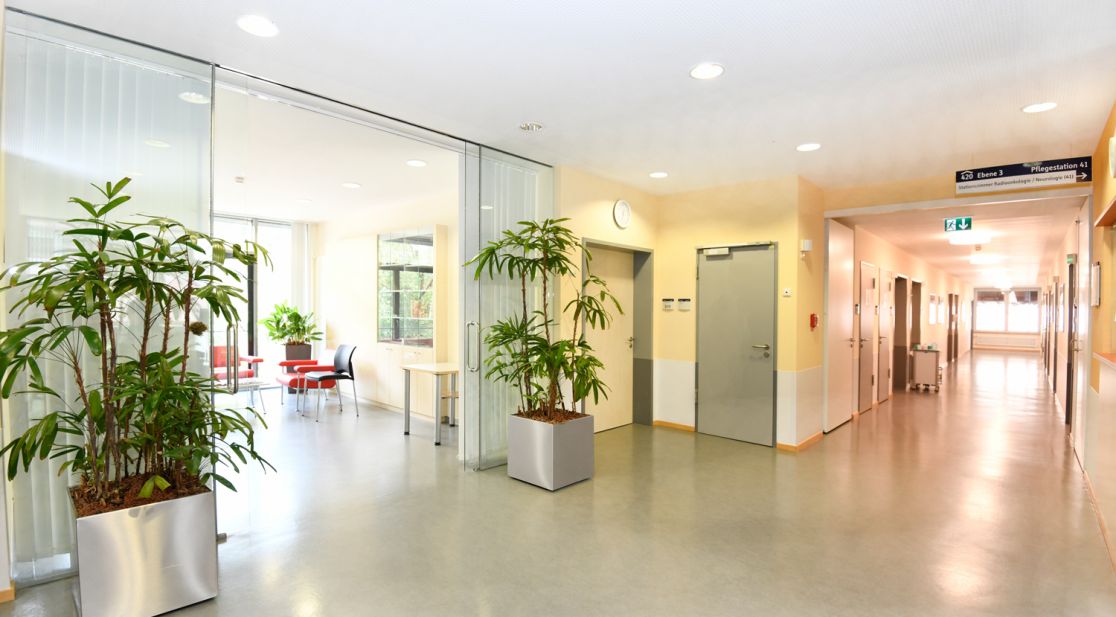 Palliativversorgung Universitatsklinikum Tubingen