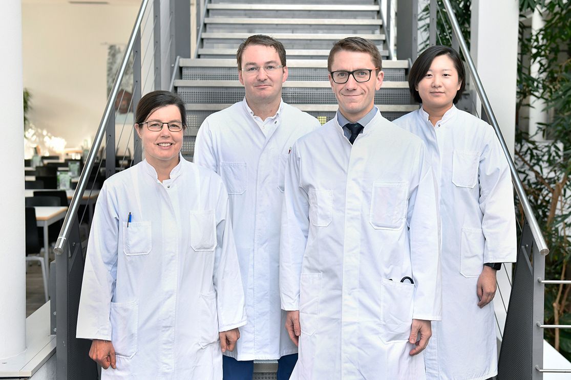 Team Allgemeine Onkologie und Weichteiltumore