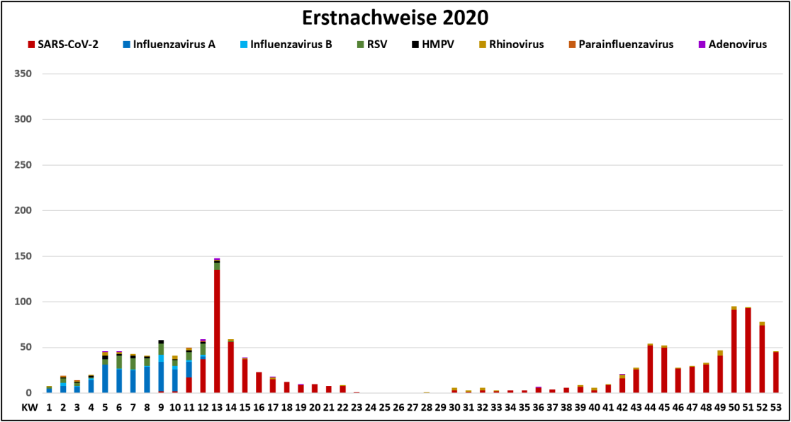 Grafische Darstellung der RV-Nachweise 2020