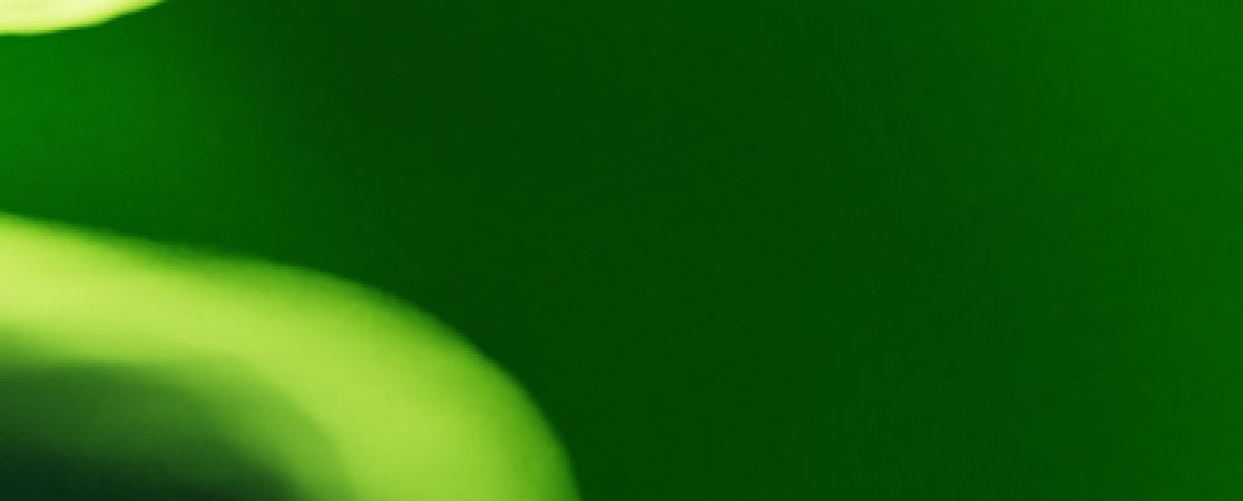 Layoutbild grünes Muster