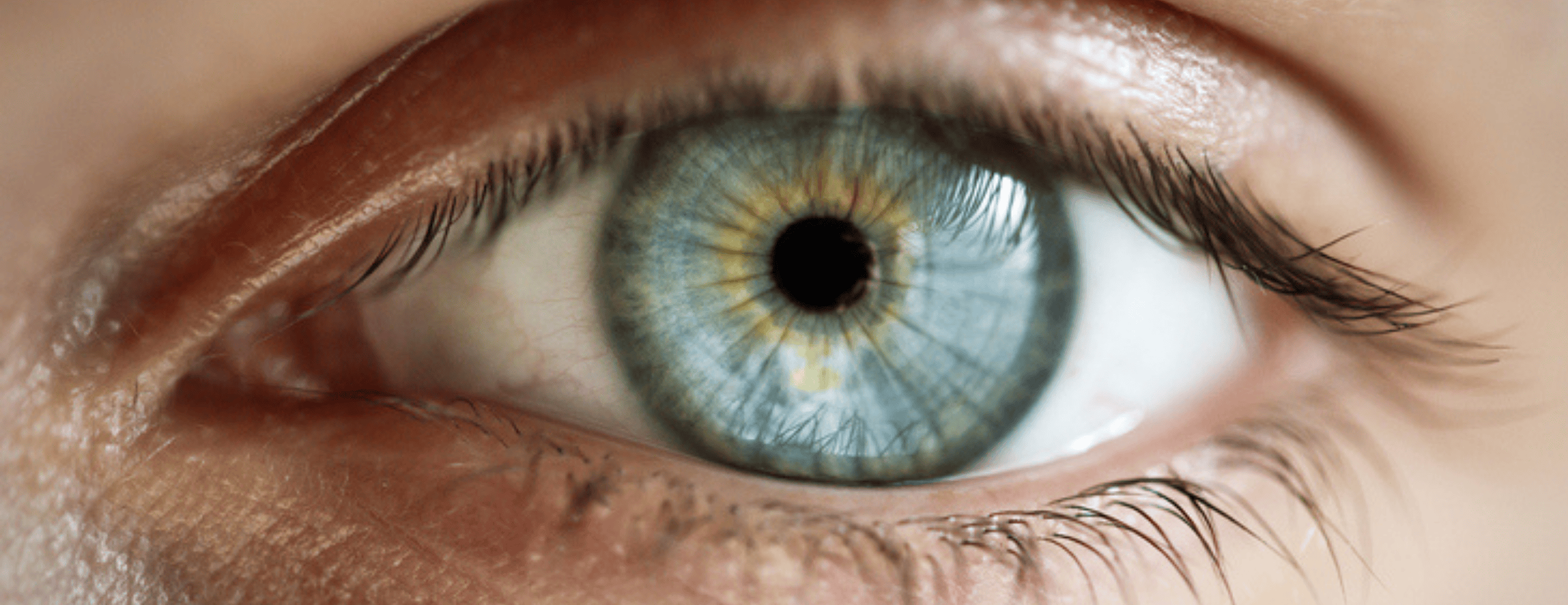 Augen