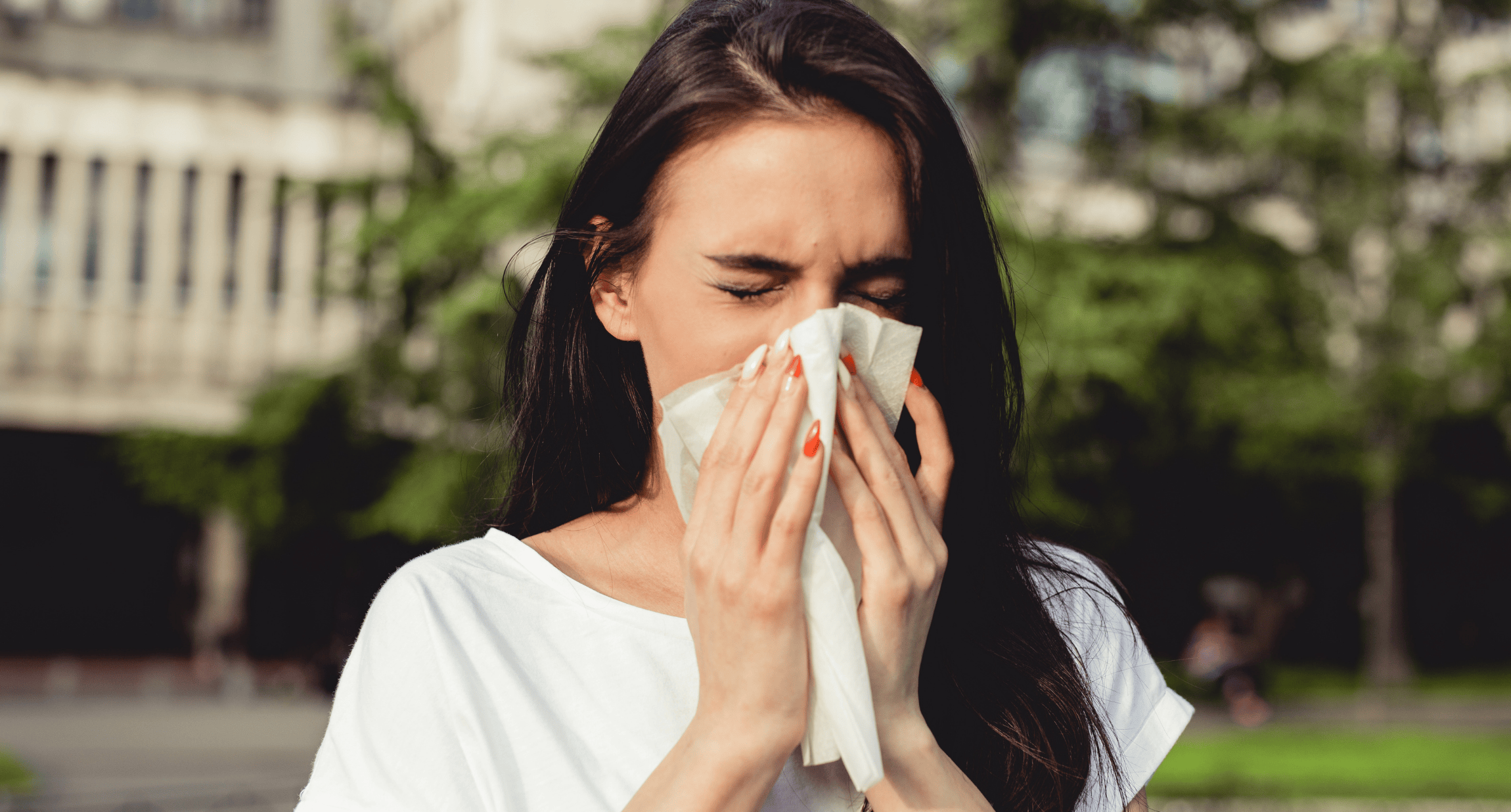 Wie erkennt man eine Ambrosia-Allergie?