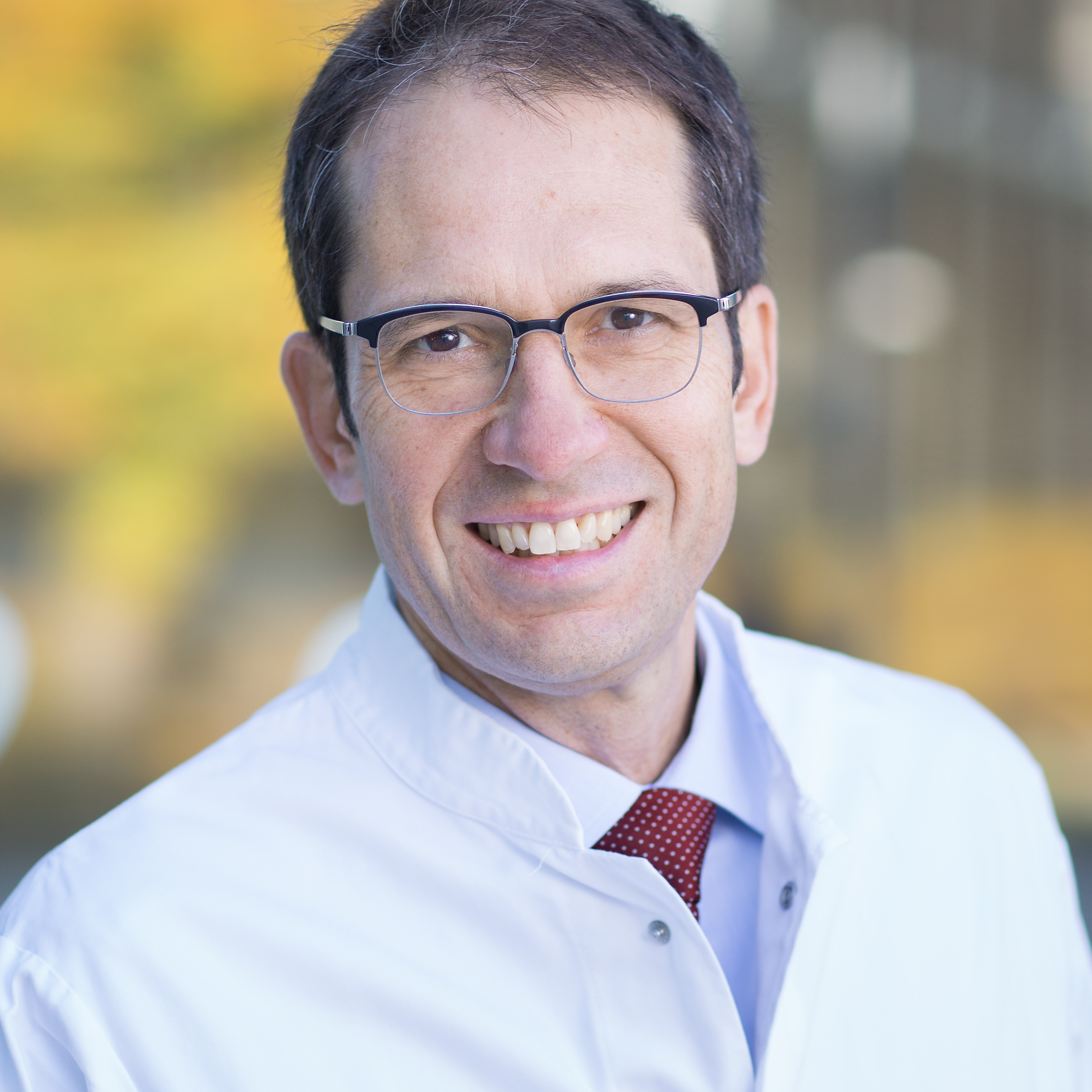 Prof. Dr. Holger Lerche