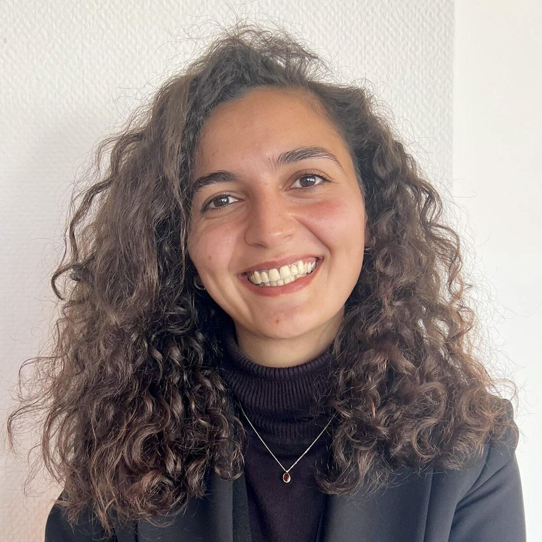 M.Sc. Serenay Yazici Sarikaya