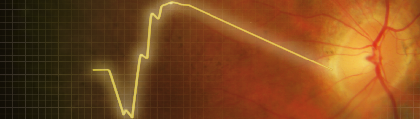 Kurs der Elektrophysiologie des Sehens