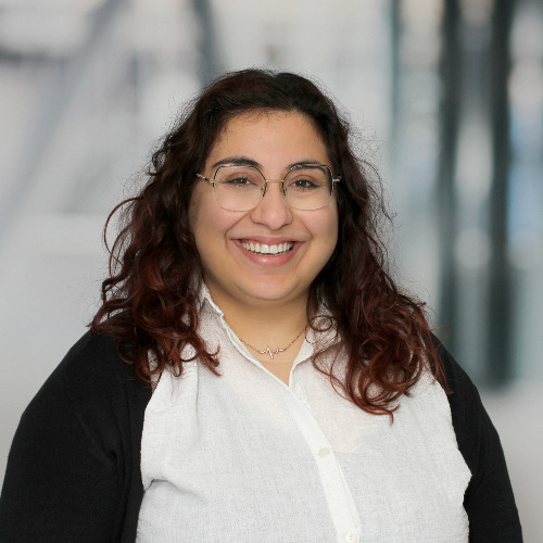 M.Sc. Eirini Kistoglidou